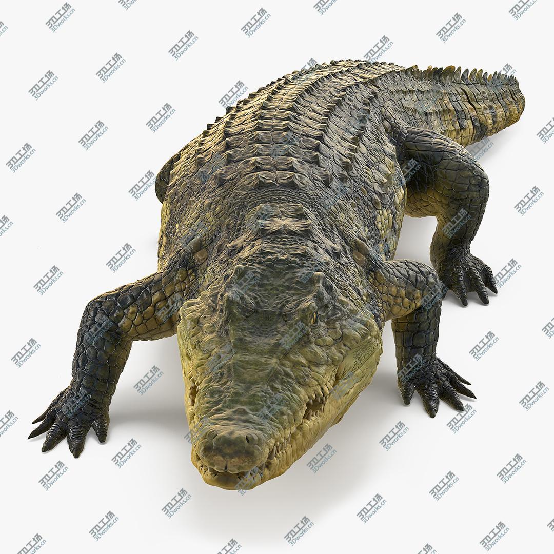 images/goods_img/2021040231/Animated Crocodile Walking Rigged 3D model/1.jpg